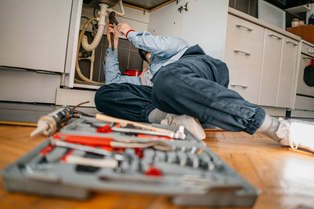 Best Local Plumber Services  in Petersburg, IN